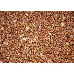 Jordndder til fugle 5kg